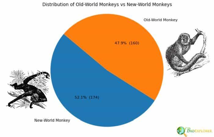 Old-World vs New-Monkey Distribution