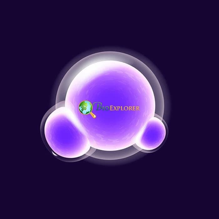 Cell Division Cell Division