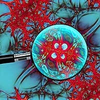 Nerves Network Nerves Network