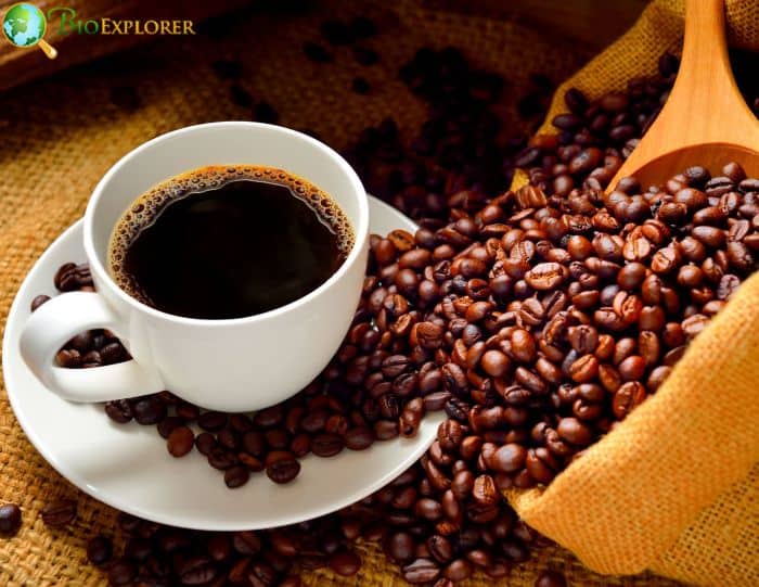 Strong Coffee Strong Coffee