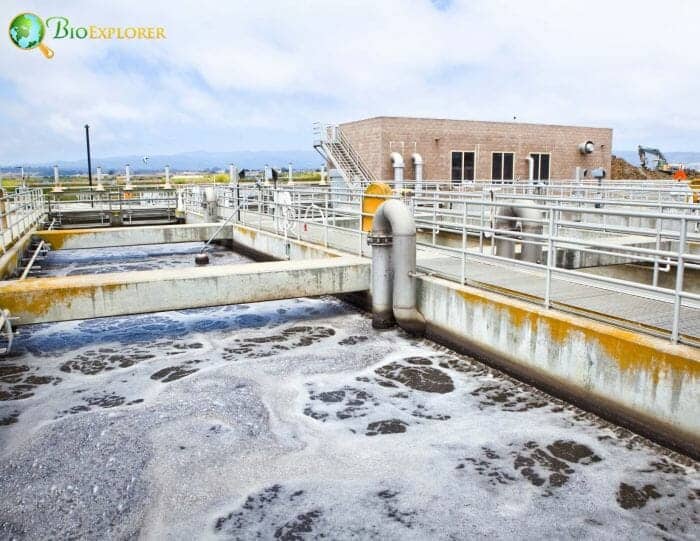 1 Wastewater Treatment 1 Wastewater Treatment