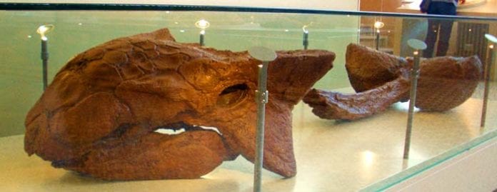 famous herbivore dinosaurs