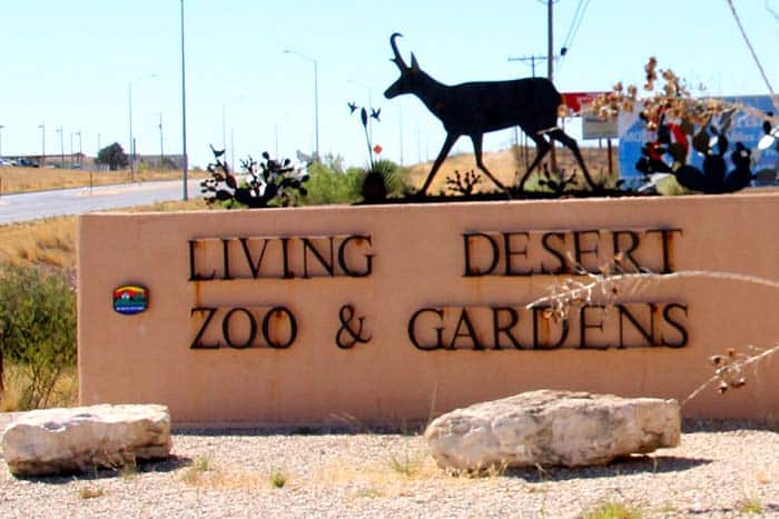 Living Desert Zoo Living Desert Zoo