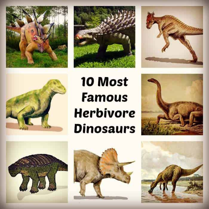 Herbivore Dinosaurs  10 Famous List of Plant Eating Dinosaurs 