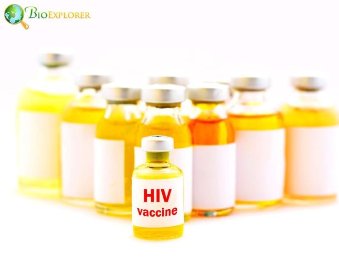HIV Vaccine HIV Vaccine