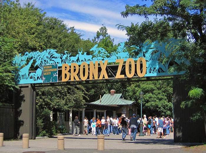 Bronx Zoo Bronx Zoo
