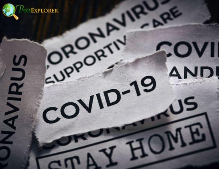 COVID-19 Treatment Using Genetics COVID-19 Treatment Using Genetics