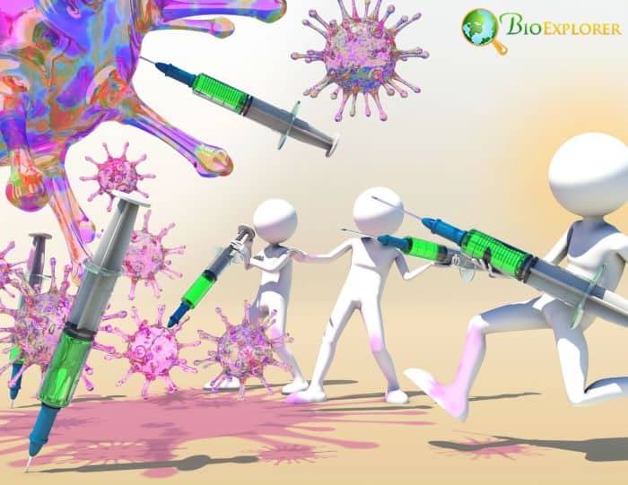 Antibodies Antibodies