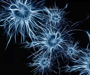 Neurons Neurons