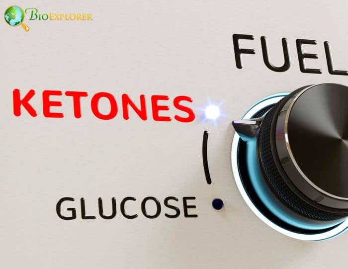 Ketone Supplements Ketone Supplements