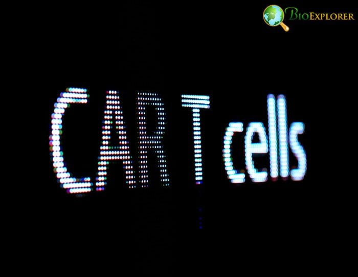 Antigen Receptors Antigen Receptors