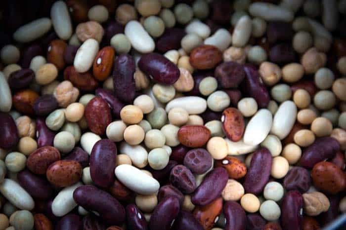 Soybean Proteins Soybean Proteins