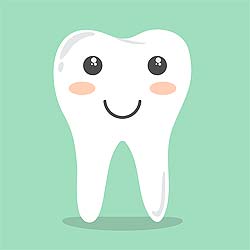 Teeth Stronger Than Bones Teeth Stronger Than Bones