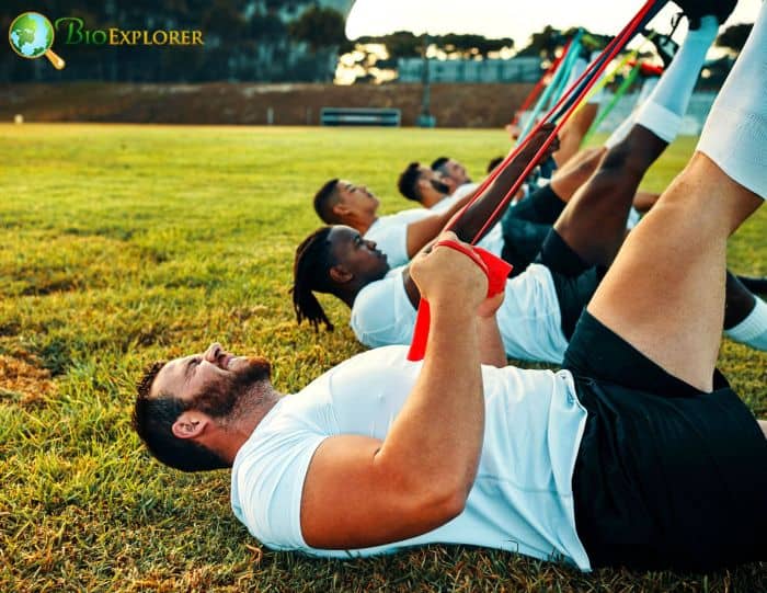 Resistance Training Resistance Training