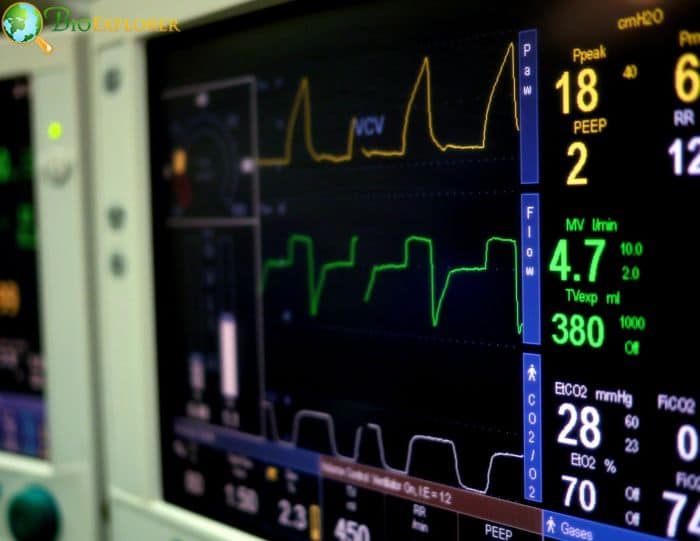 Heart Rate Heart Rate