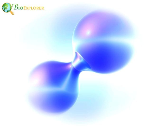 Nitrogen Molecule Nitrogen Molecule