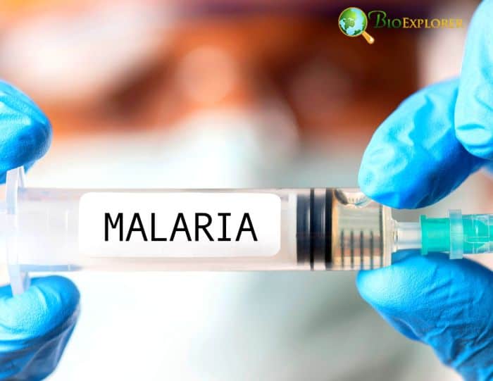Malaria Vaccines Malaria Vaccines