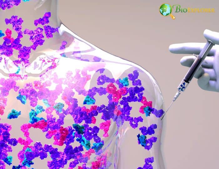 Protein-based Vaccines Protein-based Vaccines