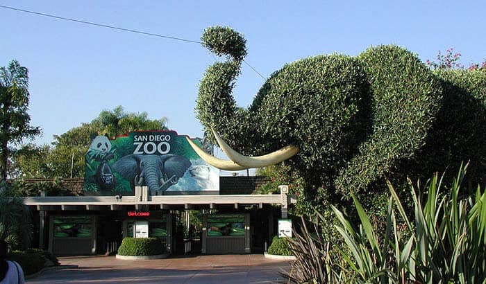 San Diego Zoo San Diego Zoo