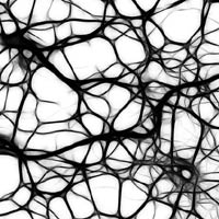 Grey cells in brain Grey cells in brain