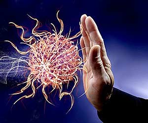 Immune System Immune System