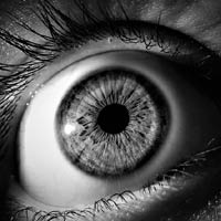 Vision Vision