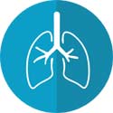 respiration muscles