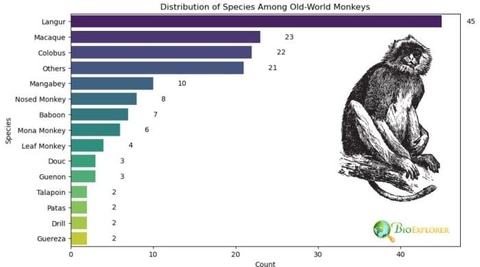 Old-World Monkey Distribution By Species Old-World Monkey Distribution By Species