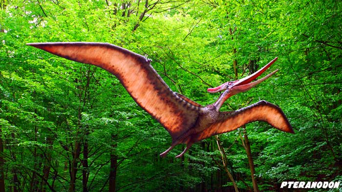 What are flying dinosaurs called?