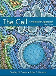 The Cell Molecular Approach The Cell Molecular Approach