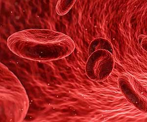 Blood Stream Blood Stream
