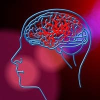 brain acquiring new knowledge brain acquiring new knowledge