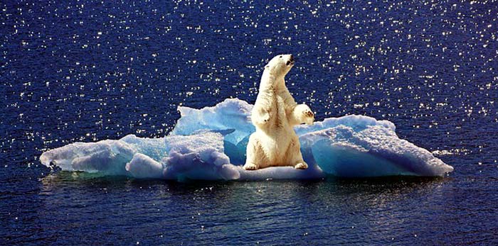 Climate Change Climate Change