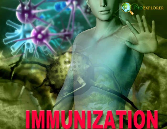 Preventing Autoimmune Disease Preventing Autoimmune Disease
