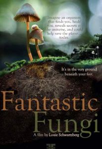 Fantastic Fungi