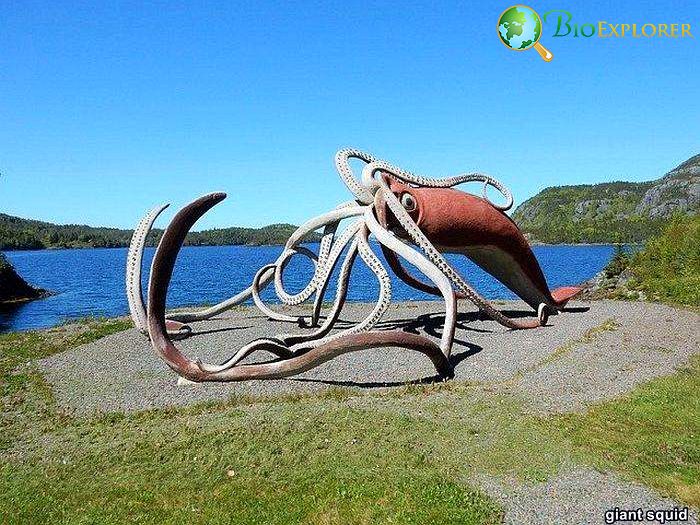 Giant Squid Giant Squid