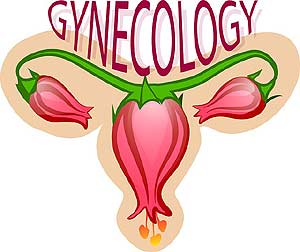 Gynecology Gynecology