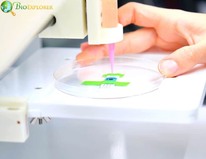 3D Bioprinting 3D Bioprinting