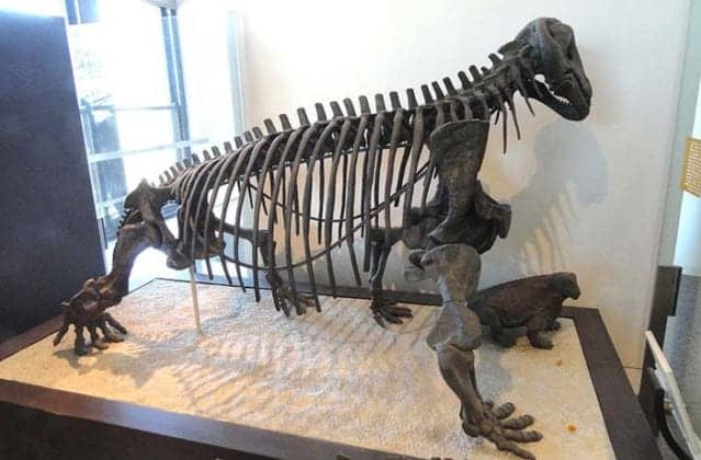 small herbivore dinosaurs