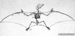 dinosaur names pterodactyl