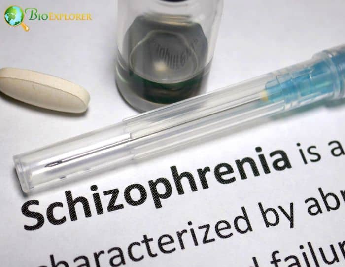 Schizophrenia Schizophrenia