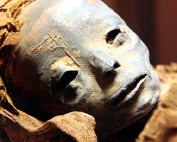 Ancient Humans Ancient Humans