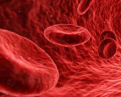 Blood Platelets Blood Platelets