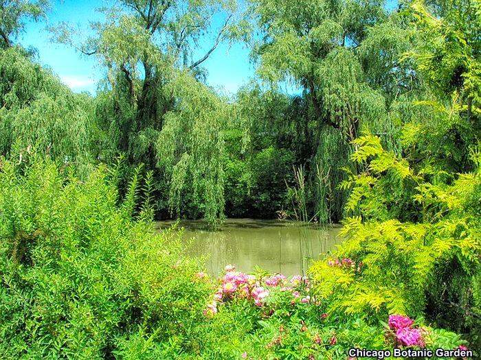 Chicago Botanic Garden Chicago Botanic Garden