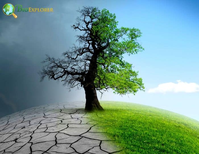 Climate Change Climate Change