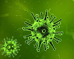 Virus