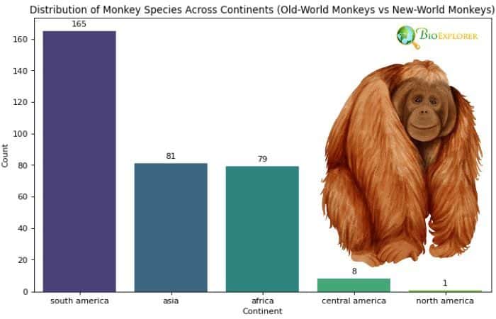 Monkeys Distribution By Continents Monkeys Distribution By Continents