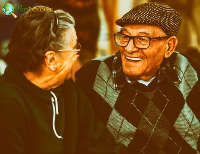 Old Age Old Age