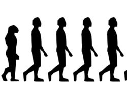 Body Size Evolution Body Size Evolution