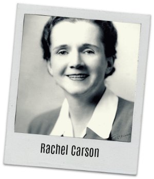 Rachel Carson